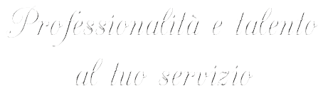 siamo un'azienda che fornisce una consulenza professionale per chi desidera aprire una società in Romania